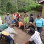 Senasa – Riego de semilla