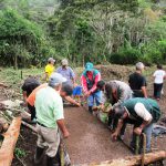 Senasa – Tapado de semilla