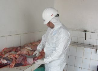 Senasa: Inspección de faenado en mataderos de Amazonas