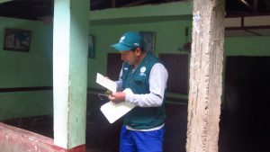 Senasa: Monitoreo de Tecia solanivora, plaga no presente en el Perú