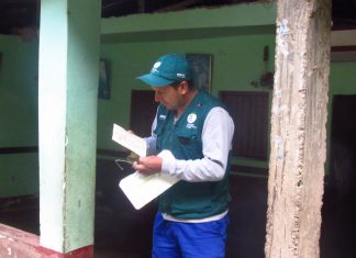 Senasa: Monitoreo de Tecia solanivora en Amazonas, plaga no presente en el Perú