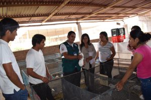 Senasa: promoviendo la sanidad agraria en CEFOP Virú
