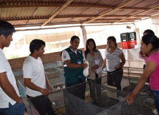 Senasa: promoviendo la sanidad agraria en CEFOP Virú