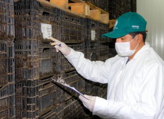 Seguimiento de Cuarentena Post Entrada para asegurar sanidad vegetal en Perú