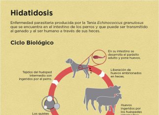 Hidatidosis y la salud animal