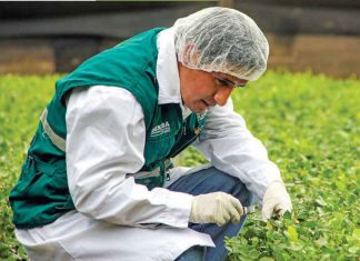 Resguardando la Inocuidad Agroalimentaria