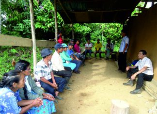 Escuelas de Campo graduaron a 150 productores de café en Huánuco