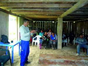 Escuelas de Campo graduaron a 150 productores de café en Huánuco - Senasa