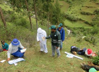 Ayacucho: ECA, una metodología de aprendizaje para agricultores