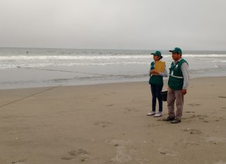 Senasa: Vigilancia pasiva en humedales y playas de Ica