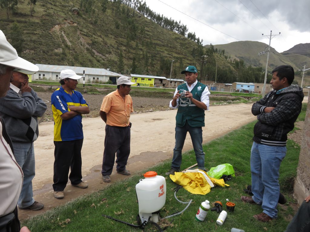 Capacitación a productores de haba en el manejo y uso adecuado de plaguicidas