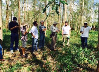 Estado y empresa privada deben trabajar juntos para invertir en reforestación