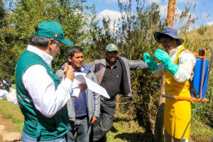 Senasa: Supervisión de ensayos de eficacia de plaguicidas - Áncash