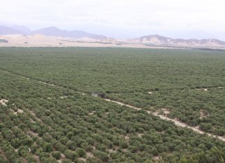 Minagri trabaja en plan alternativo para destrabar proyecto Chavimochic III