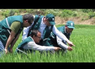 Jorge Barrenechea: Este año Senasa se enfocará en abrir mercados de Oceanía y Sudeste Asiático para frutas y hortalizas frescas de Perú