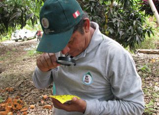 Senasa: Monitoreo de Incidencia de plaga de Mosca de la Fruta en frontera del Perú con Ecuador
