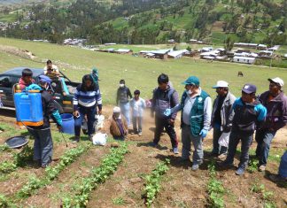Apurímac: Control biológico busca reducir uso de plaguicidas en cultivos