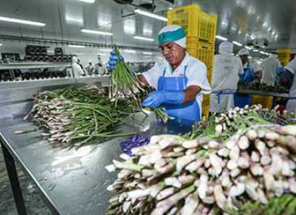 Minagri anuncia creación de mesa pública-privada para impulsar agroexportaciones