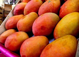 Tubérculos y frutas experimentan baja de precios en mercados mayoristas