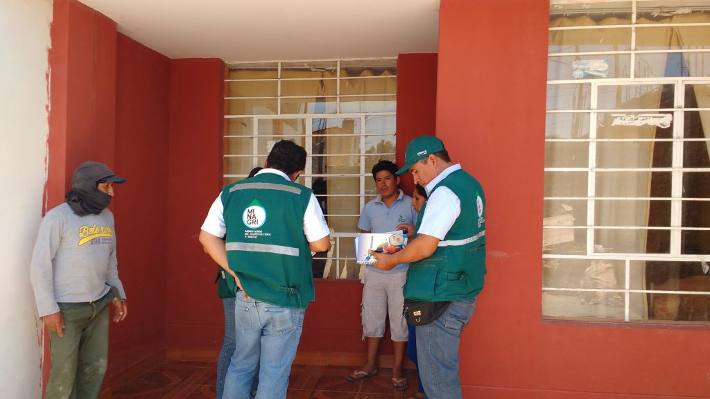 Senasa - Ica - Descartan presencia de murciélagos hematófagos en Santiago