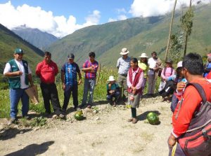 Senasa y productores articulan labores para el control de plagas del zapallo