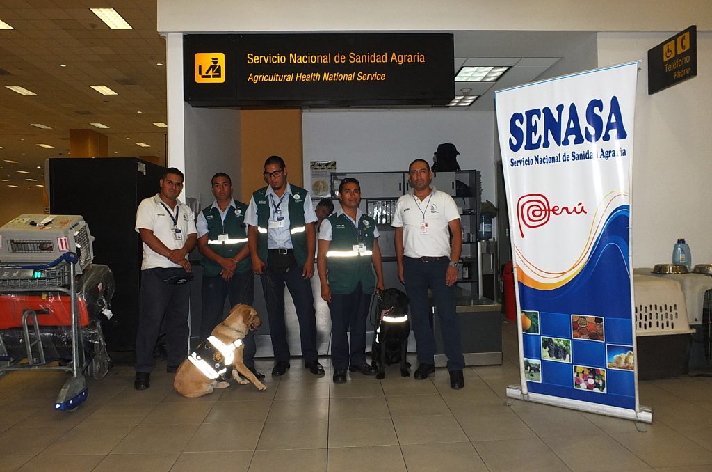 Senasa - Brigada Canina para protección de la agricultura del país