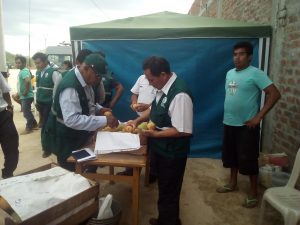 Senasa - Cuarentena interna para prevenir ingreso de moscas de la fruta