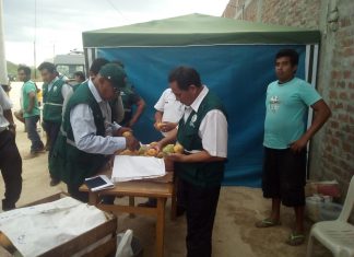 Piura: Cuarentena interna para prevenir ingreso de moscas de la fruta
