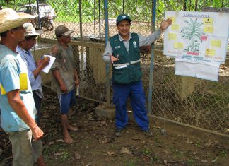 Escuelas de Campo contribuyen a mejorar producción de pequeños productores de banano