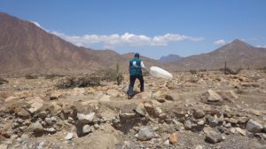 Senasa - Monitoreo de langosta migratoria en Cajamarca