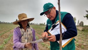 Senasa - Control de gusano rosado de la India en el cultivo del algodón