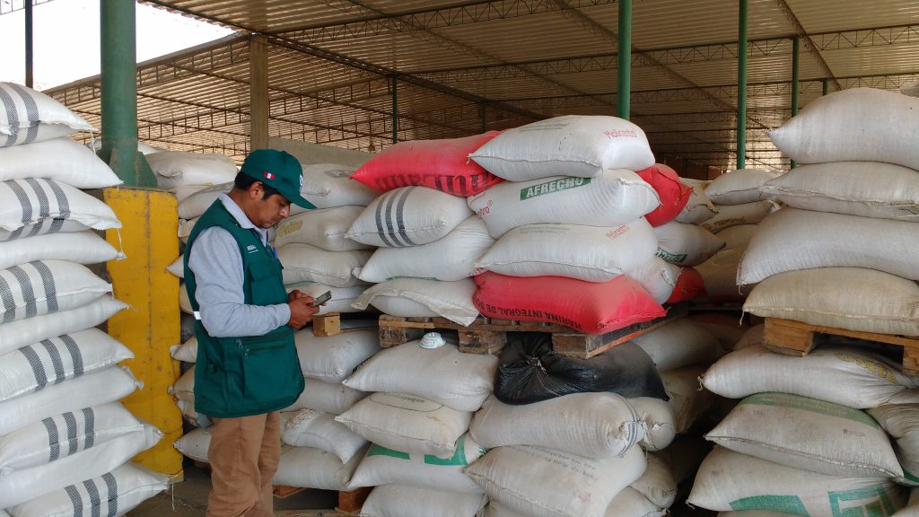 Senasa: - Monitoreo preventivo en granos almacenados