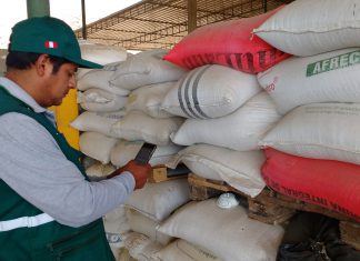 Senasa: Monitoreo preventivo en granos almacenados