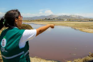 Senasa - Monitoreo preventivo de Influenza aviar en playas y perihumedales de Áncash