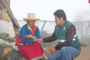 Senasa - Monitoreo y evaluación de plaga de roedores en distrito de Macate
