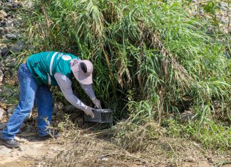 Áncash: Senasa y autoridades planifican acciones frente a emergencia