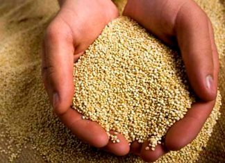 Adex: Superalimentos peruanos tienen mayor potencial de venta mundial