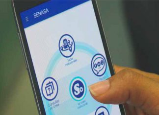 Ya se puede descargar aplicación del Senasa para reportar enfermedades y plagas agrícolas