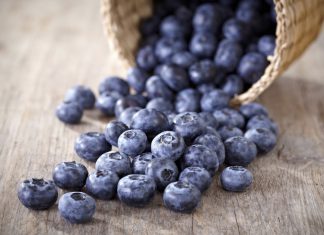 Perú logró 10 nuevos accesos para productos agrícolas en este año 2022