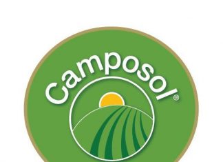 Camposol busca duplicar su tamaño en cinco años
