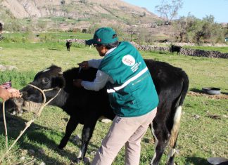 Establecen áreas enzoóticas a Carbunco Sintomático y Edema Maligno a nivel nacional