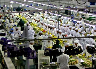 CCL: Agro y minería rompen racha de 3 años de caída de exportaciones