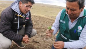 controladores biológicos