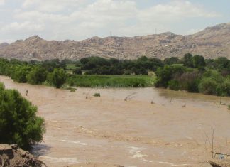 Desborde de río Chancay daña más de 200 hectáreas de cultivos