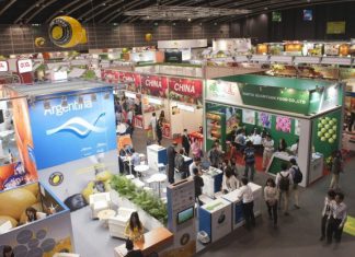 Fruit Logistica creció un 5% en asistencia este año