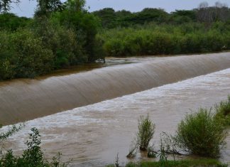 Lambayeque: río La Leche se desborda y afecta cultivos de arroz