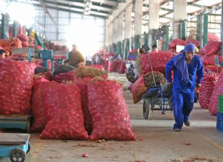 Minagri: Precios de frutas y verduras tienden a disminuir pese a efectos climáticos
