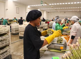 Se difunde proceso de Certificación Sanitaria de Vegetales de Exportación