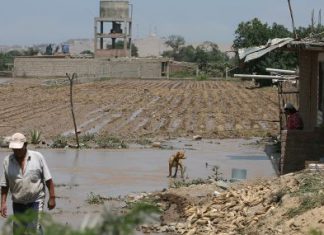 El Niño: Enfen advierte presencia de evento climático débil en la costa hasta marzo