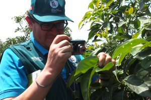 Senasa - Prácticas de campo de nueva certificación fitosanitaria